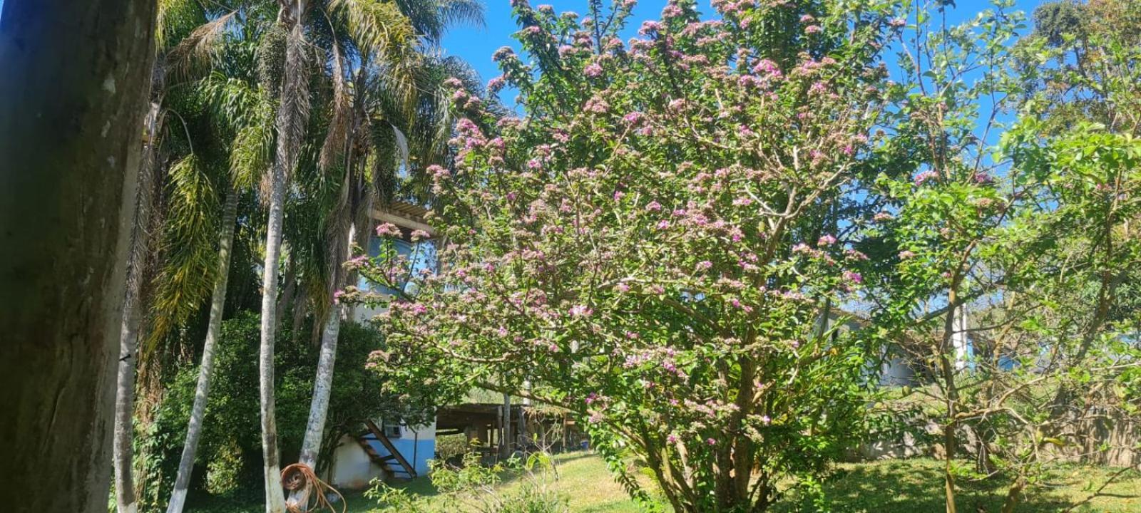 Villa Sitio Ilha Da Madeira São Roque Exterior foto